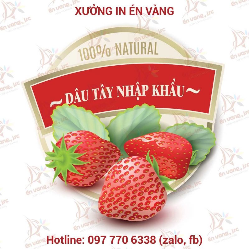 , Dich vu in tem nhan mac gia re tai dong anh | in tem mác số lượng ít | in tem nhãn tại đông anh | in tem nhãn lấy ngay tại đông anh | Hotline 097 770 6338, Xưởng in én vàng | Tư vấn thiết kế in offset miễn phí